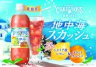 画像: 「24本」クラフトボス　地中海スカッシュ　紅茶　490ml ×24本×1箱　サントリー　世界のTEA