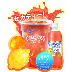 画像3: 「24本」クラフトボス　地中海スカッシュ　紅茶　490ml ×24本×1箱　サントリー　世界のTEA (3)