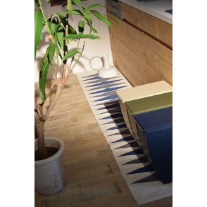 画像6: スリムコンテナ 20L LFS-846GR (6)